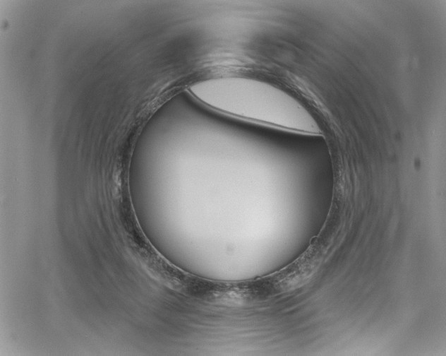 X0000068290259200604210948