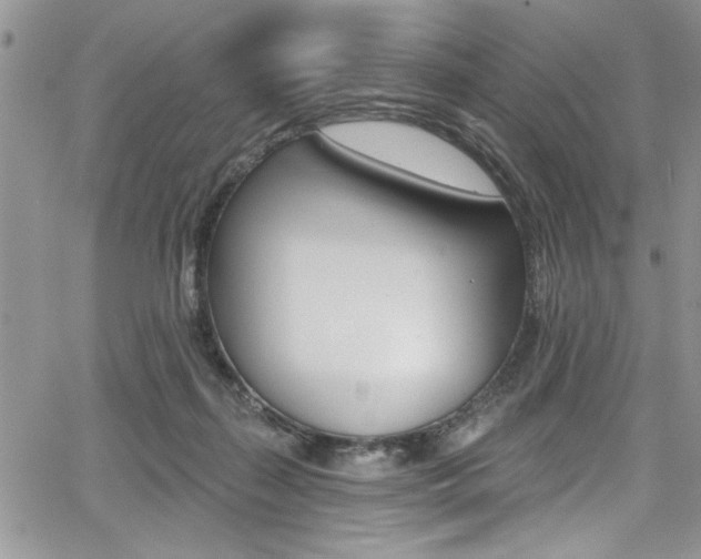 X0000068290267200604210949