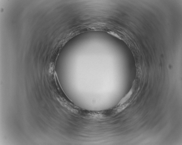 X0000068290284200604210949