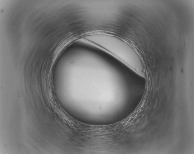 X0000068290289200604210948