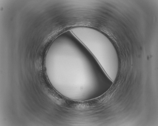 X0000068290303200604210948