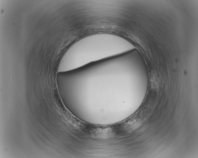 X0000068290314200604210948