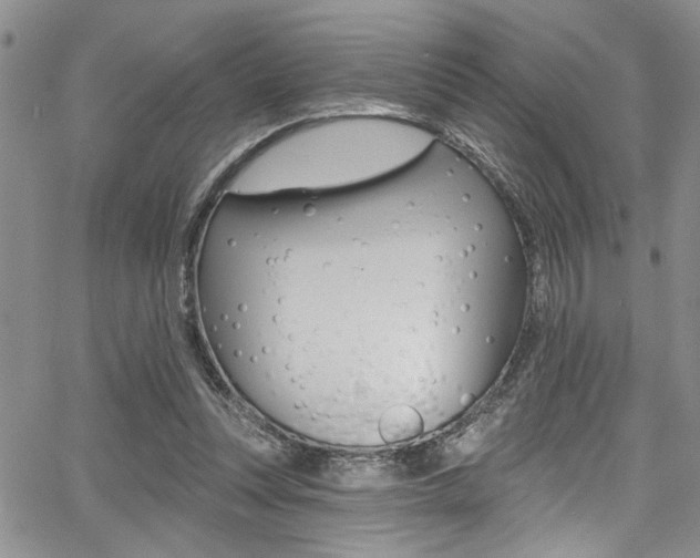 X0000068290351200604210947