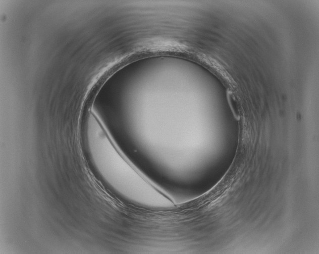 X0000068290391200604210947