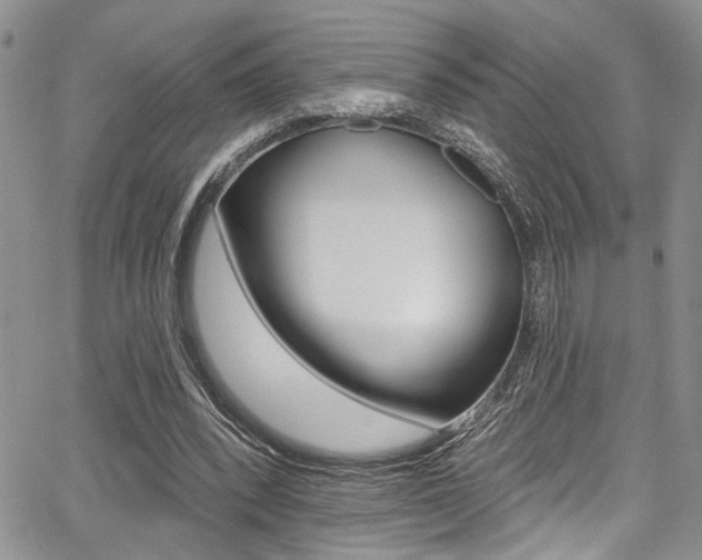 X0000068290392200604210947