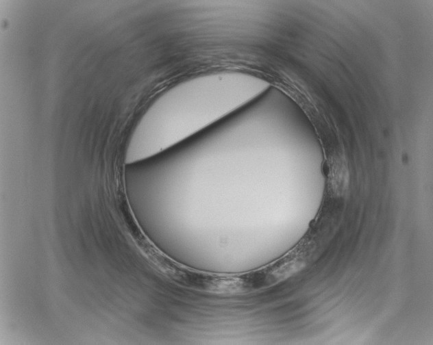 X0000068290410200604210946
