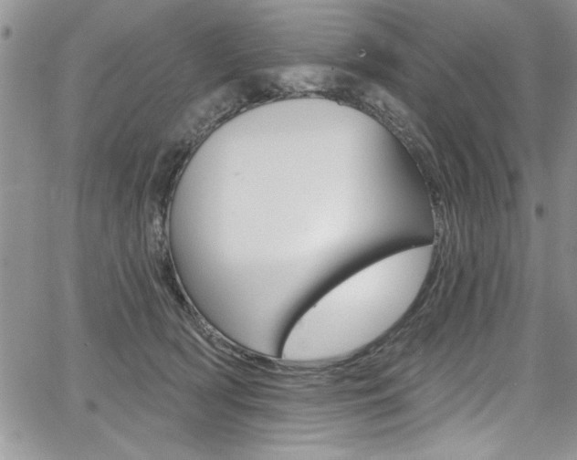 X0000068290418200604210946
