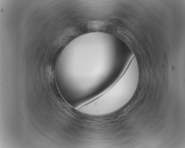 X0000068290420200604210946