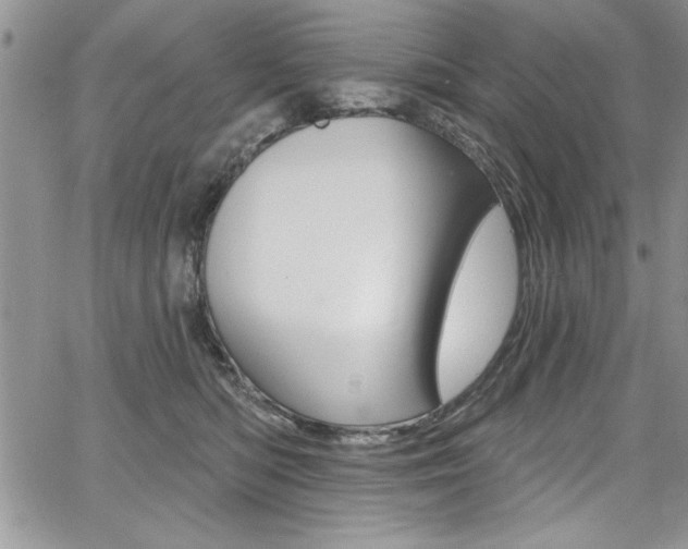 X0000068290422200604210946