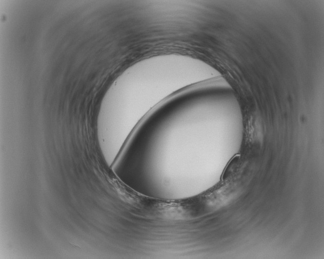 X0000068290424200604210946