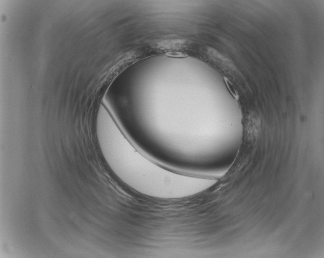 X0000068290428200604210946