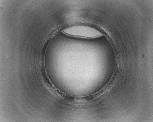 X0000068290455200604210945