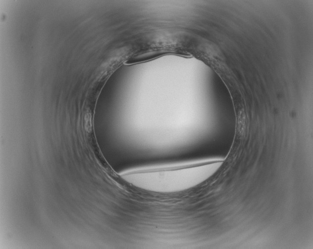 X0000068290474200604210946