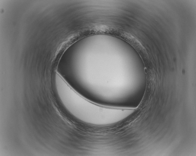 X0000068290496200604210945