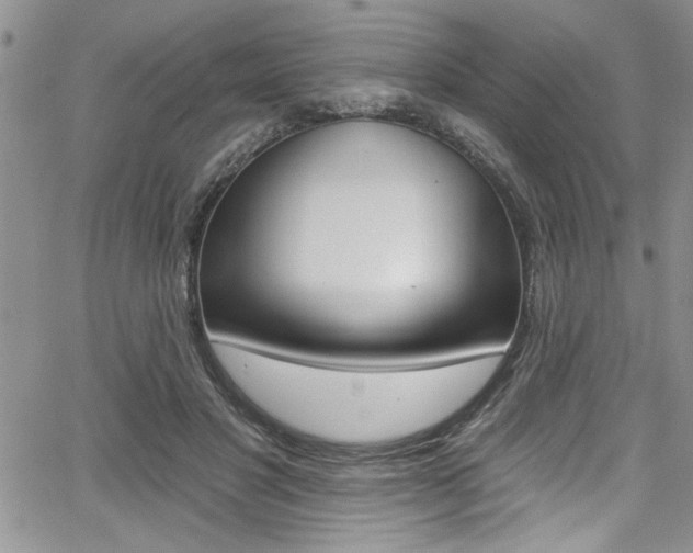 X0000068290501200604210945