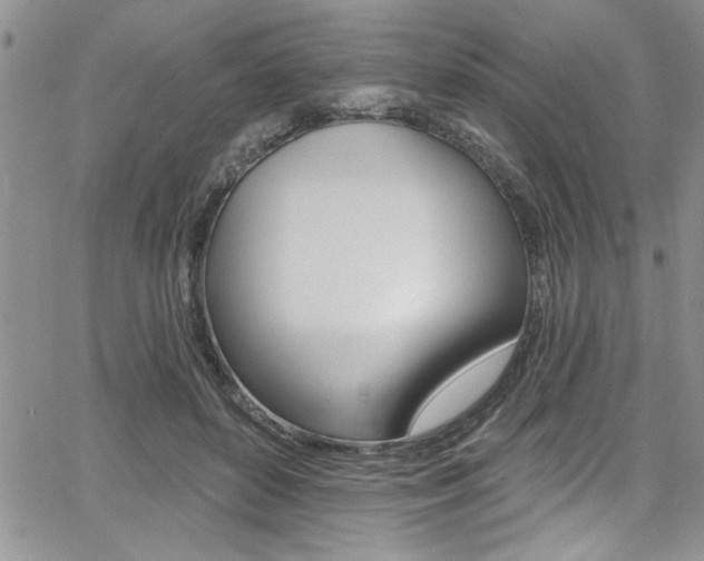 X0000068290504200604210945
