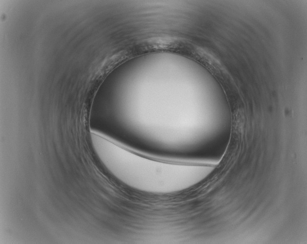 X0000068290509200604210945