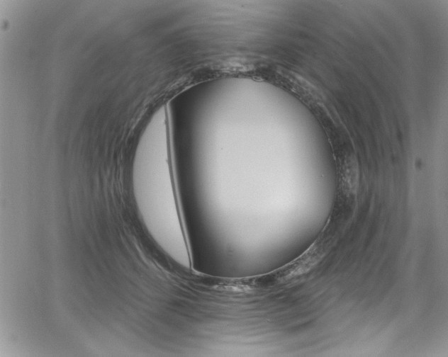 X0000068290512200604210944