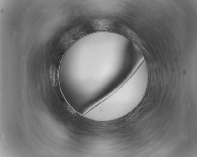 X0000068290525200604210944