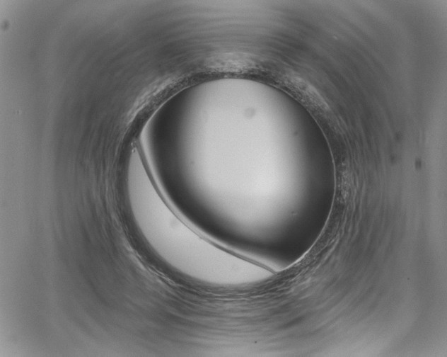 X0000068290544200604210944