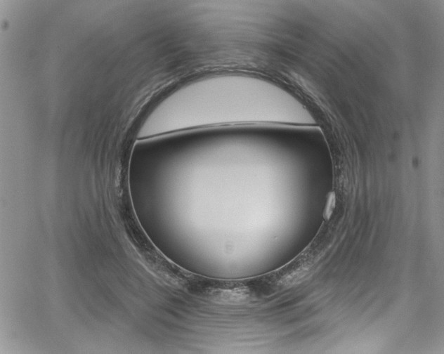 X0000068290548200604210944