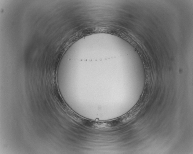 X0000068290557200604210944