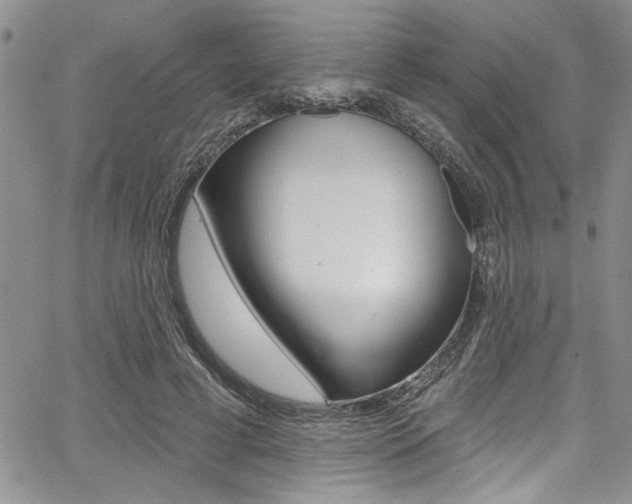 X0000068290593200604210943