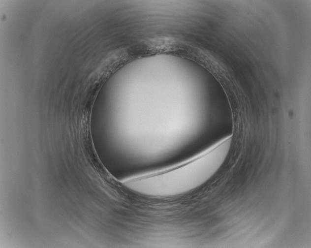 X0000068290601200604210943