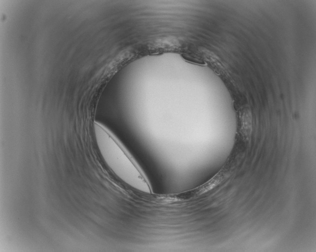 X0000068290617200604210943