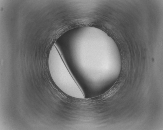 X0000068290624200604210943