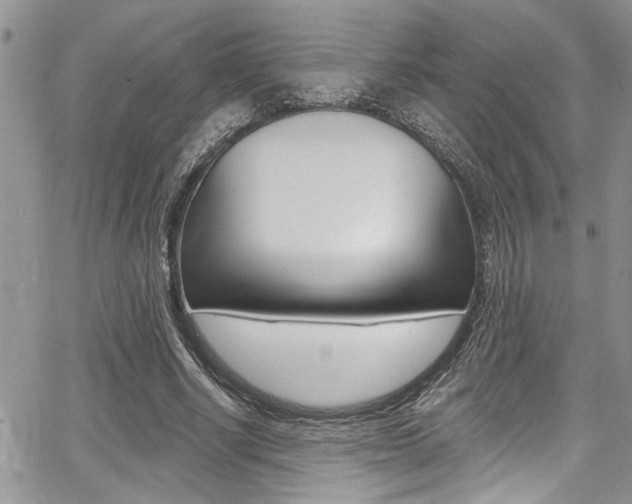 X0000068290634200604210942