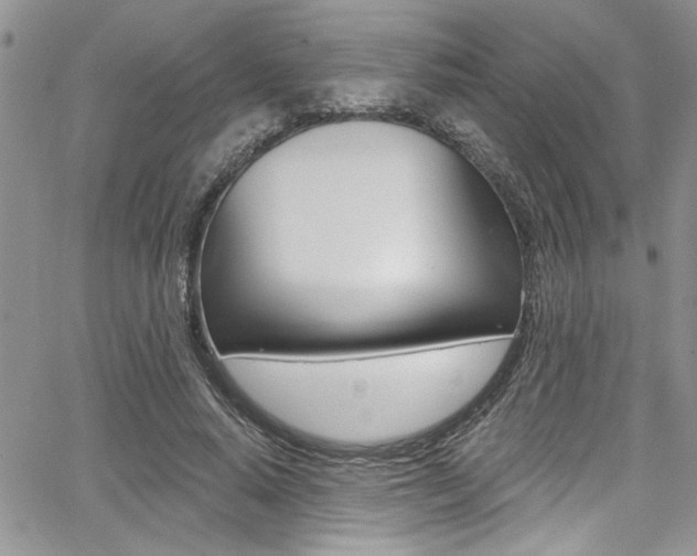 X0000068290640200604210942