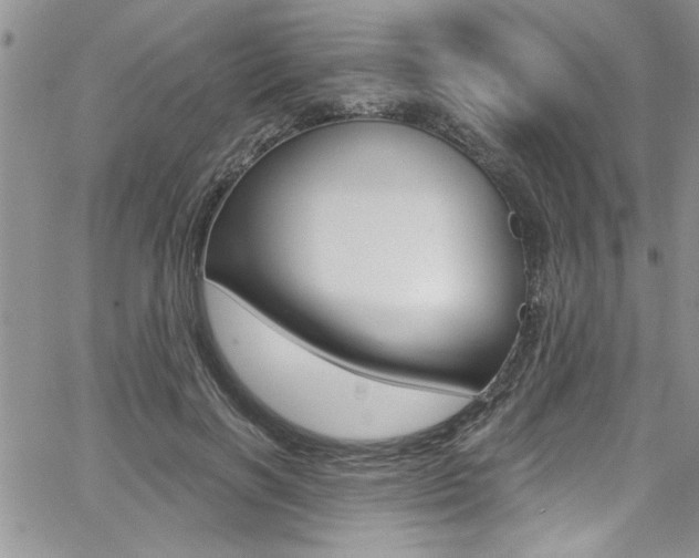 X0000068290646200604210942