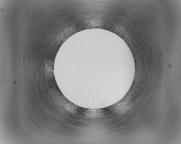 X0000068290672200604210943