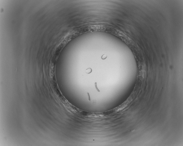 X0000068290712200604210941