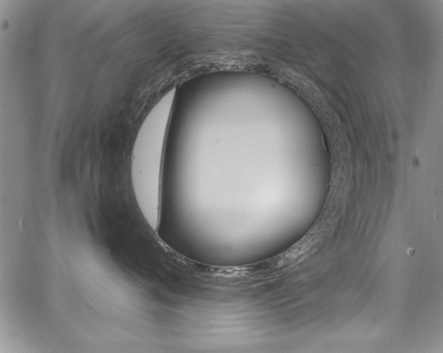 X0000068290720200604210941