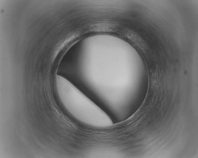 X0000068290727200604210940