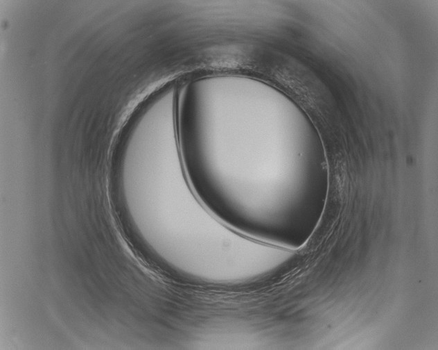 X0000068290728200604210940