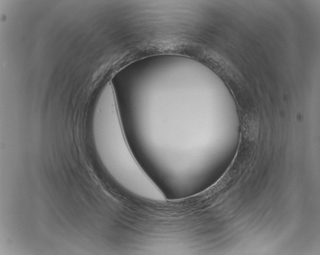 X0000068290740200604210941