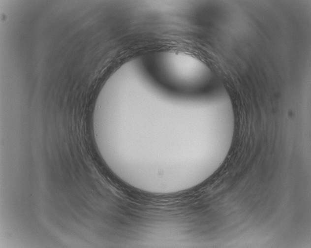 X0000068290750200604210941