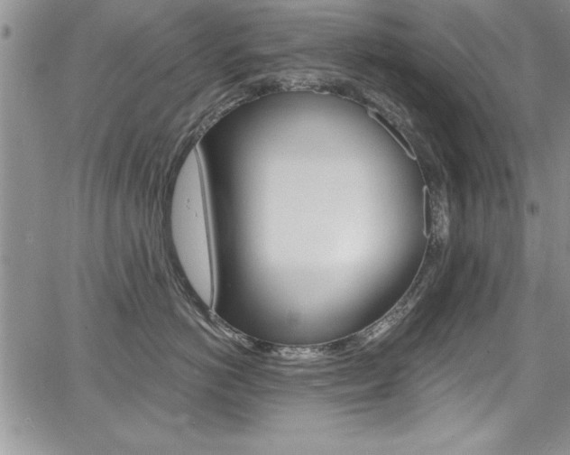 X0000068290766200604210941