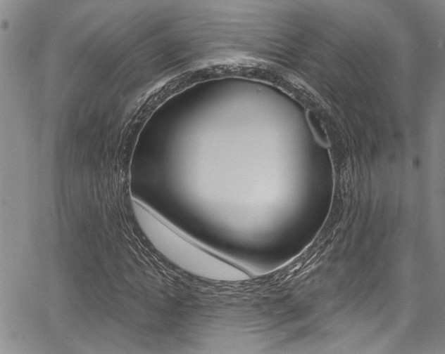 X0000068290822200604210939