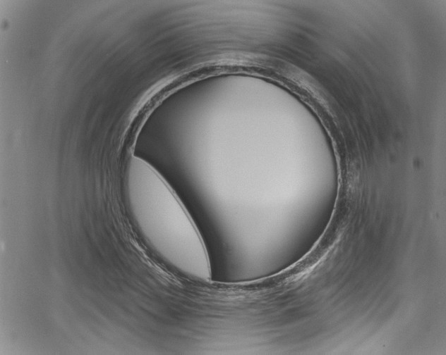X0000068290829200604210939