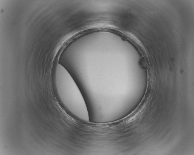 X0000068290831200604210939