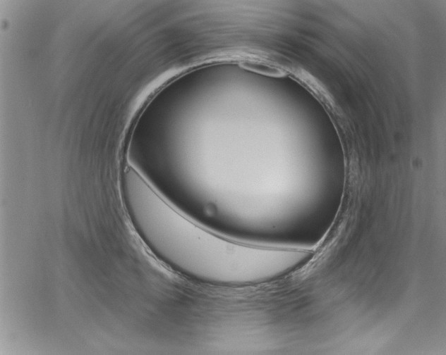 X0000068290854200604210939