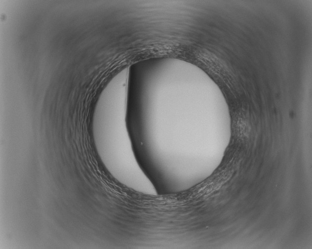 X0000068290865200604210939