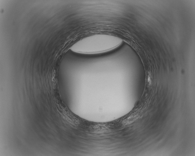 X0000068290867200604210939
