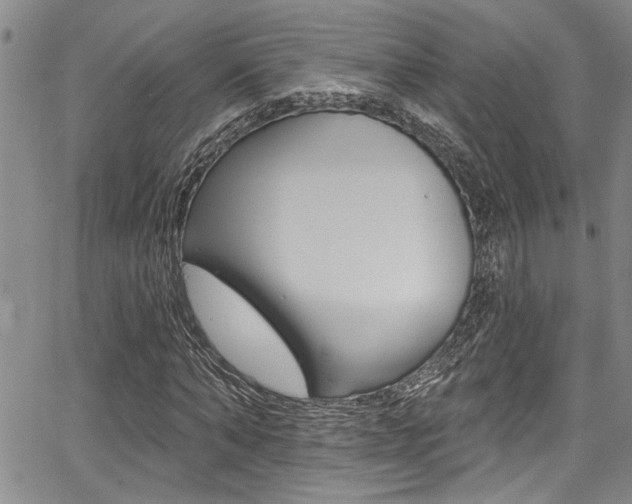 X0000068290870200604210939