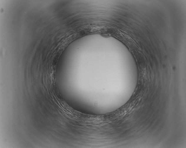 X0000068290914200604210937