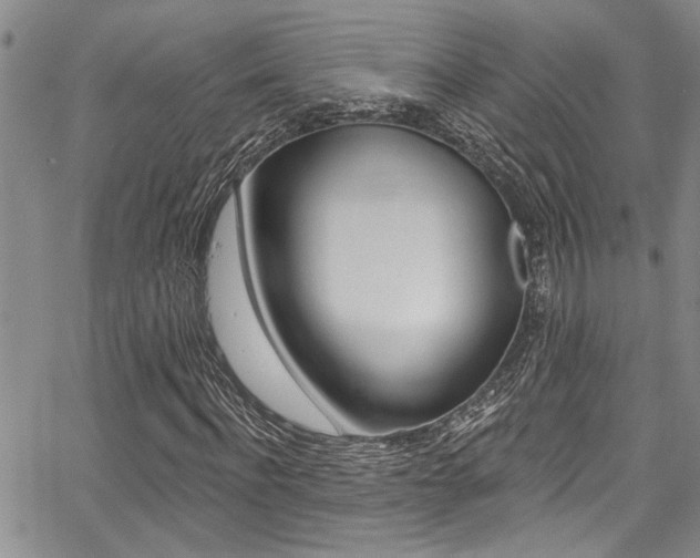 X0000068290916200604210937